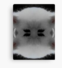 cat Canvas Print