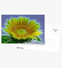 Sunflower Postcards