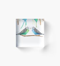 Budgie Love Acrylic Block
