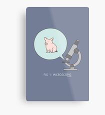 microscopig Metal Print