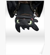 Toothless Poster