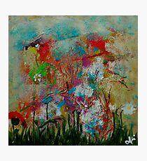 Spring Blossoms Photographic Print