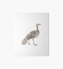 Vintage Thanksgiving Wild Turkey Image Art Board