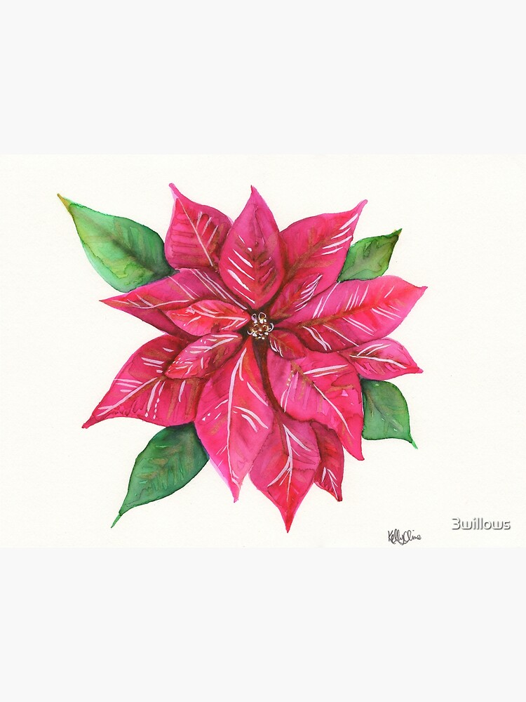 Poinsettia by 3willows