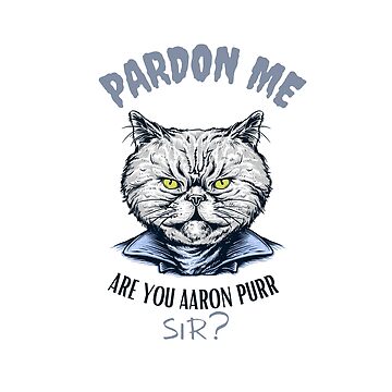 Cute Hamilton Cat Pardon me are you Aaron Purr sir shirt, hoodie, sweater,  long sleeve and tank top