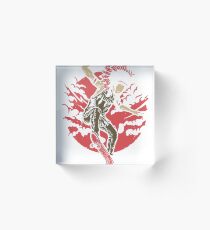 Indian Chief Skateboard Acrylic Block