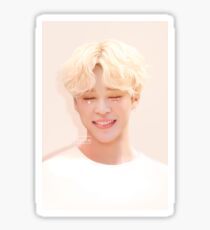 131017 Happy Jimin Day! Sticker