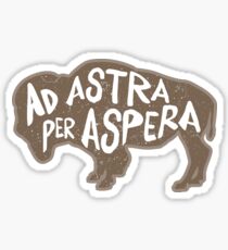 Anzeige Astra Per Aspera Sticker