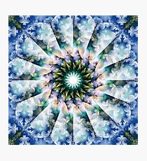 Spiraling Garden Blossoms Photographic Print