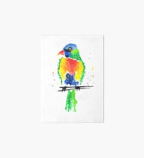 Rainbow Lorikeet Art Board