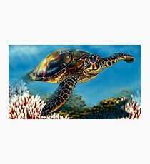 Tropical Waters Photographic Print