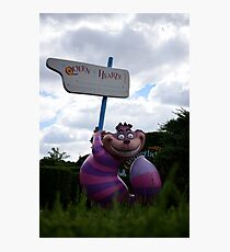 Cheshire Cat in Alice's Curious Labyrinth Photographic Print