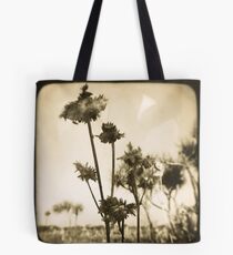 1853 Tote Bag