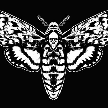 Death's Head Hawk Moth Leggings Moth, Yoga Leggings, Moths, Insect Leggings,  Yoga Pants, Insects, Moth, Spooky, Animal Leggings 