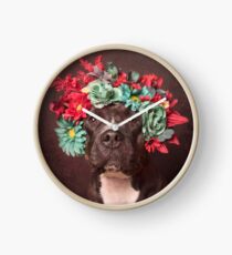 Flower Power, Molly Clock