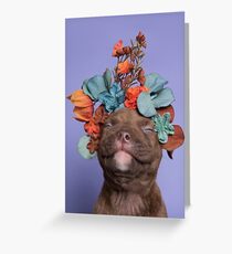 SweetPea, Flower Power Greeting Card