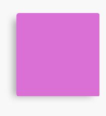 color orchid Canvas Print
