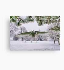 Snowy Owl In A Winter Wonderland Canvas Print