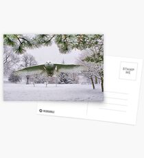 Snowy-Eule in einem Winter-Märchenland Postkarten