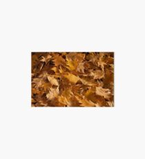 Golden Birch Leaves Art Board