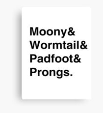 Moony & Wormtail & Padfoot & Prongs. Canvas Print