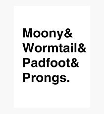 Moony & Wormtail & Padfoot & Prongs. Photographic Print
