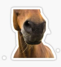 Nose Sticker