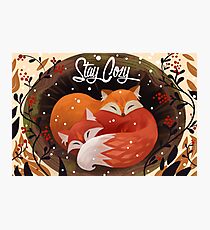 Stay Cozy Photographic Print