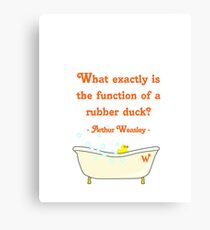 What exactly is the function of a rubber duck? Canvas Print