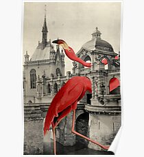NUMBER 17 (FLAMINGO) Poster