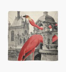 NUMBER 17 (FLAMINGO) Scarf