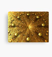 Droplets Canvas Print