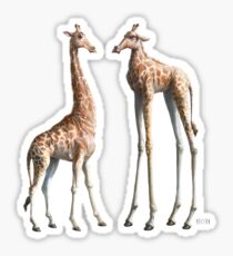 Emmm ... Welcome to the herd. Sticker