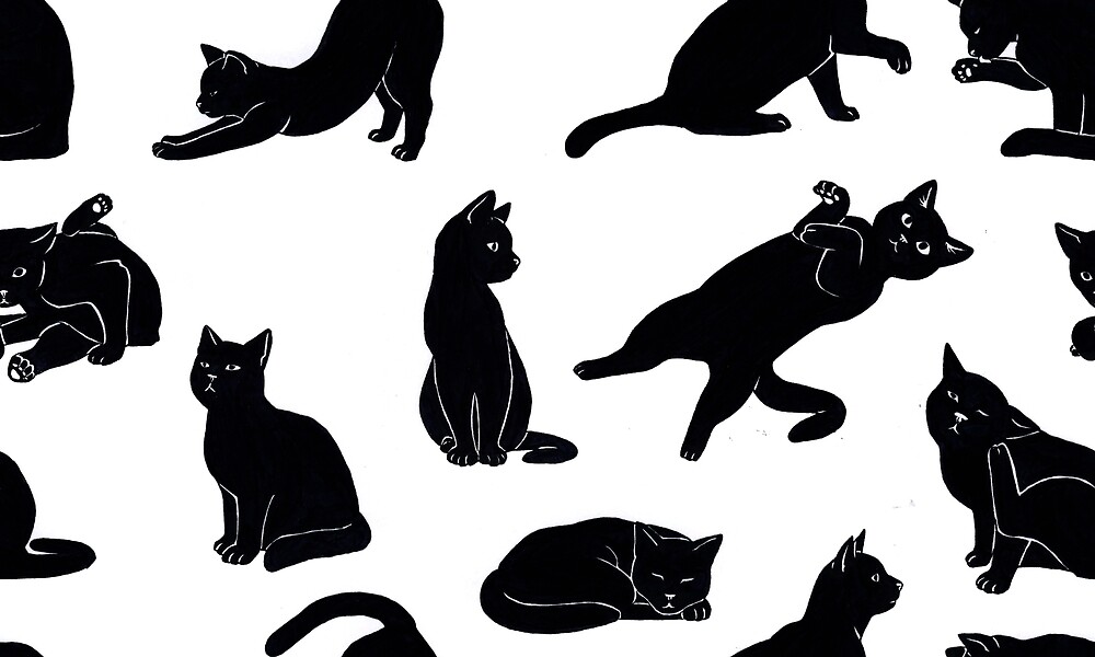 Черные кошка 13. Черный кот позы. Чёрная кошка референсы. Тринадцать черных кошек. 13 Черная кошка.