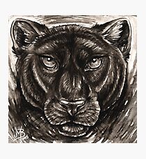 Panthera Photographic Print