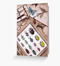 Insect Collector Greeting Card
