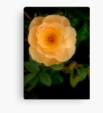 Enchanting Canvas Print