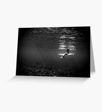 Serenity Greeting Card