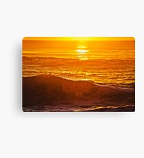 Orange Juice. Canvas Print