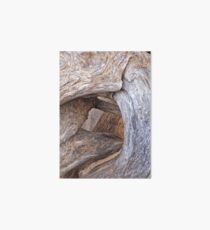 Twisted Driftwood Art Board