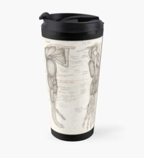 Taza de viaje Anatomía Humana 4