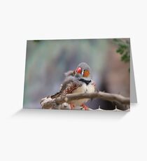 Zebra Finch Greeting Card