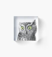 Owl portrait Acrylic Block