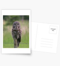 Great Gray Postcards