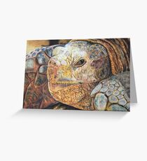 Tortoise Wildlife, photorealistic drawing Greeting Card