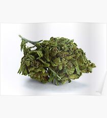 Bubba Kush Poster