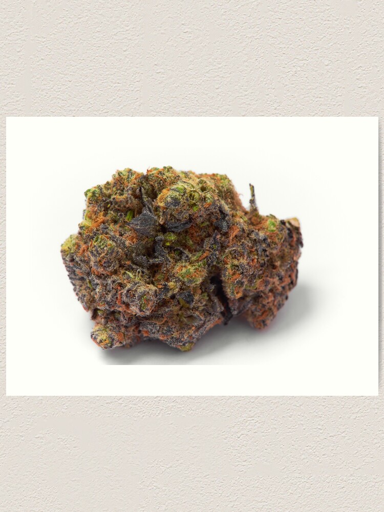 Alternate view of Gelato Art Print