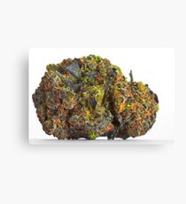 Gelato Canvas Print