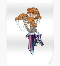 Mushroom Crystal Poster