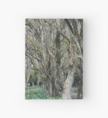 Wandering Path Hardcover Journal
